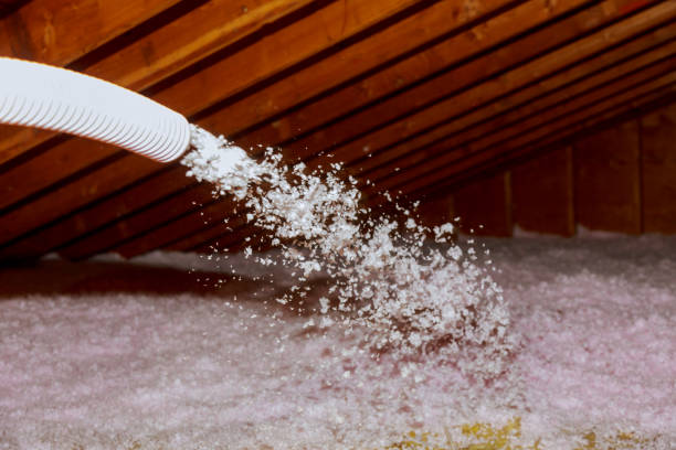 Best Energy Efficiency Insulation in Helotes, TX
