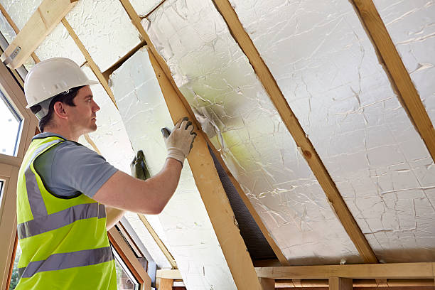 Best Geographic-Specific Insulation Services in Helotes, TX