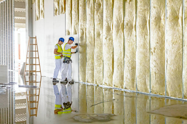 Types of Insulation We Offer in Helotes, TX